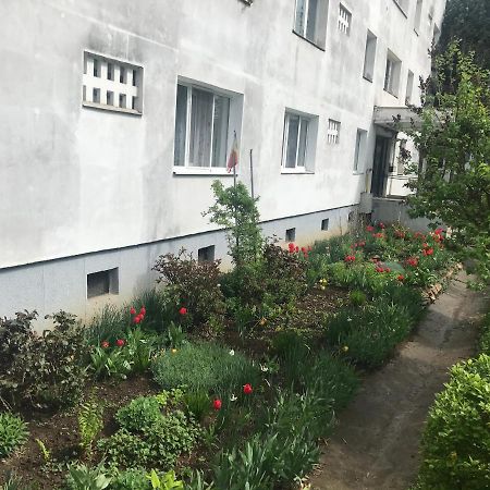 Apartament Colina Клуж-Напока Екстер'єр фото